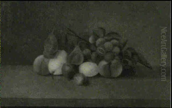 Fruit Still Life - view 1