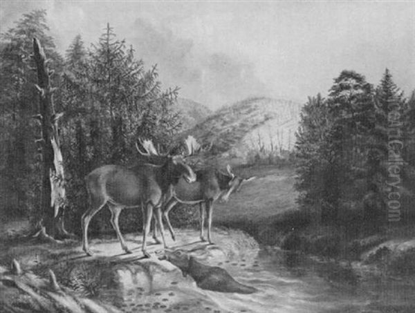 Moose At River's Edge - view 1