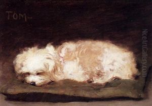 "tom" Chien De L'artiste "tom" Chien De L'artiste
