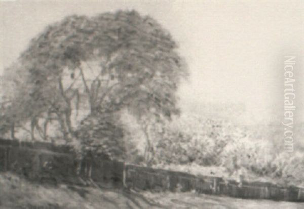 Blue Hills Of Milton - view 1