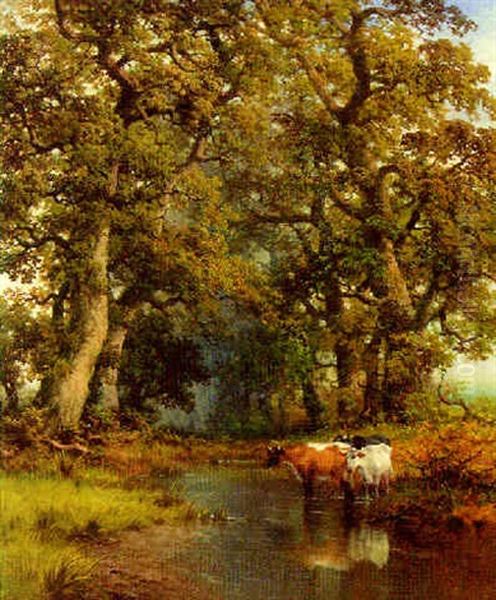 A Shady Glen - view 1