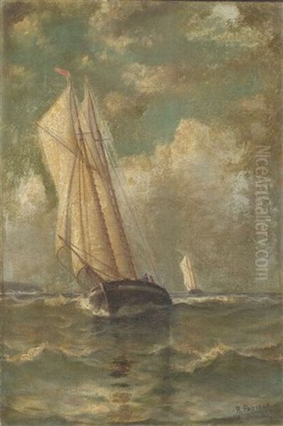 Strong Winds - view 1
