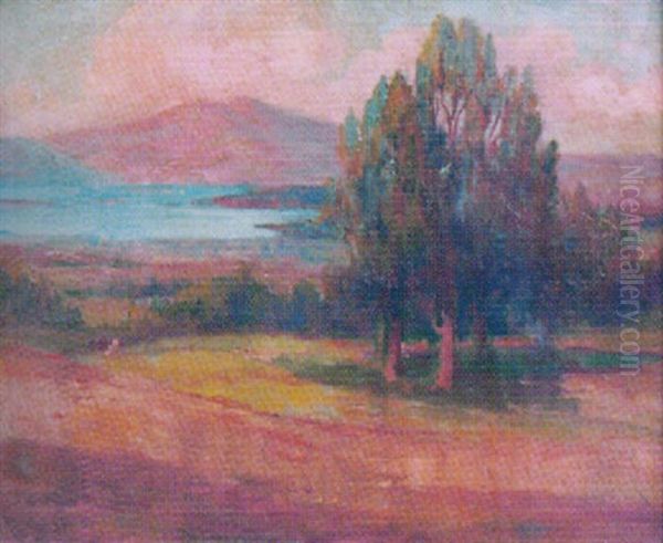 California Landscape - view 1