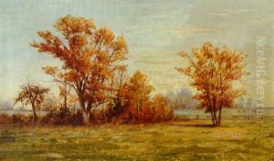 California Landscape