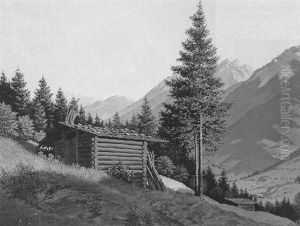 Sommertag Im Bregenzer Wald, Sennhutte Und Fichte - view 1