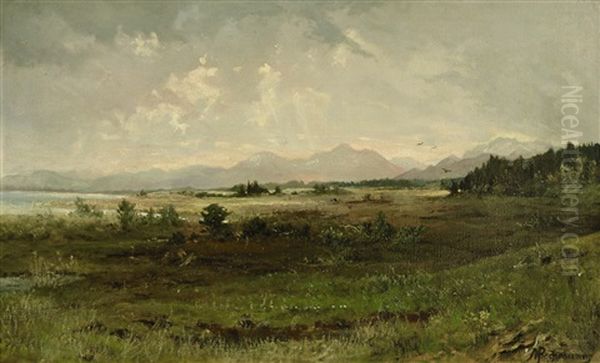 Chiemsee-landschaft - view 1