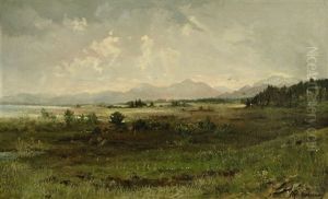 Chiemsee-landschaft