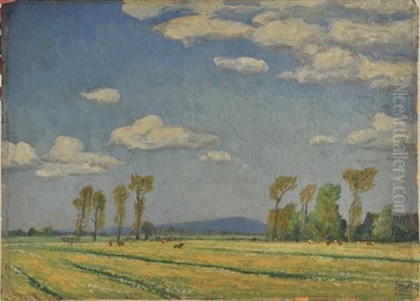 Summer Landscape In Kinbitzwaifa - view 1