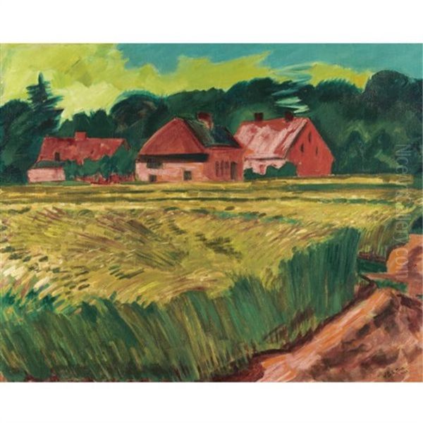 Bauernhauser Mit Getreidefeld In Leba - view 1