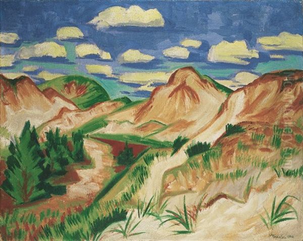 Dunenlandschaft - view 1