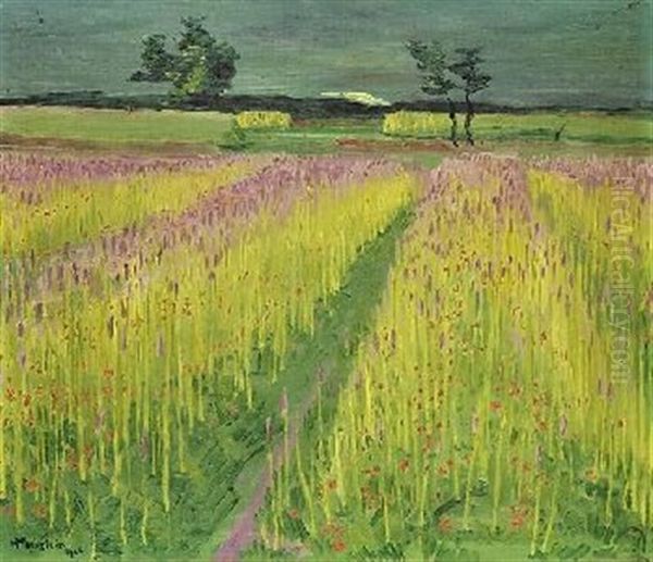 Bluhendes Kornfeld - view 1