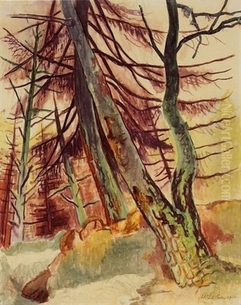 Wald (forest) - view 1