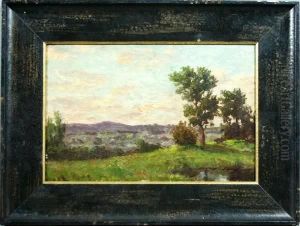 Landscape With Trees (probably A California Scene)