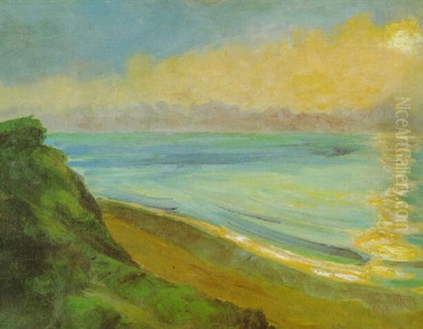 Steilkuste Und Sonnenspiegelung - view 1