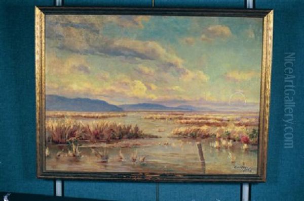 The Marshes - view 1