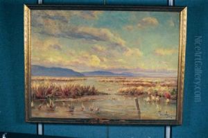 The Marshes