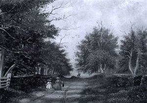 Walking With Mother by Felix Augustus Peckham