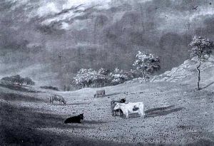 Grazing Cattle by Felix Augustus Peckham