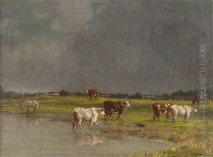 Paturage Au Bord De La Touques Sous Un Ciel D"orage