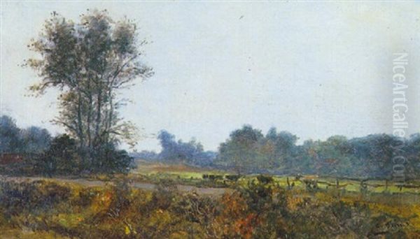 Paturage Au Bord De La Touques - view 1