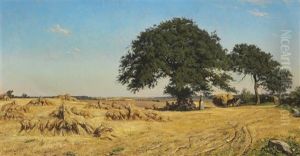 Harvest Landscape With Large Oak Trees In The Field