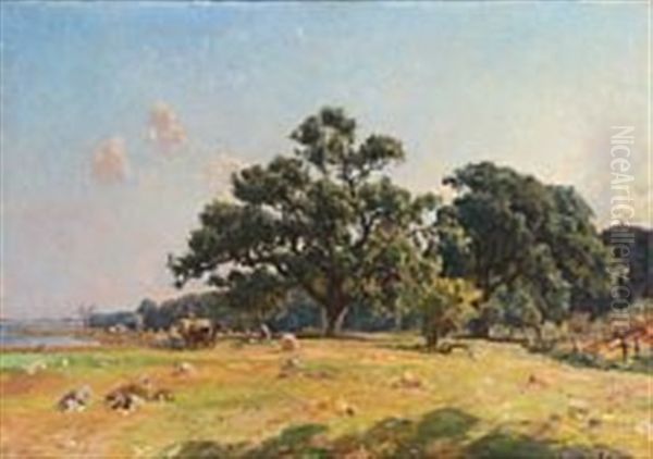 Summer Day On The Field - view 1