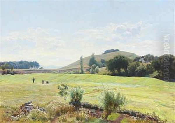 Danish Summer Landscape - view 1