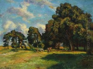 Horses Grazing In A Shady Grove