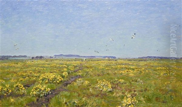 Field With Yellow Flowers - view 1