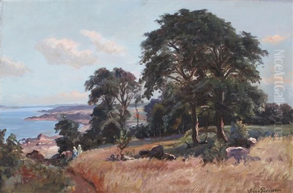 Summer Day In Arildsleje Near Kullen, Sweden - view 1