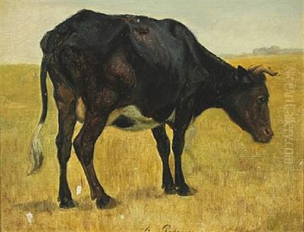 Grazing Cow In The Meadows - view 1