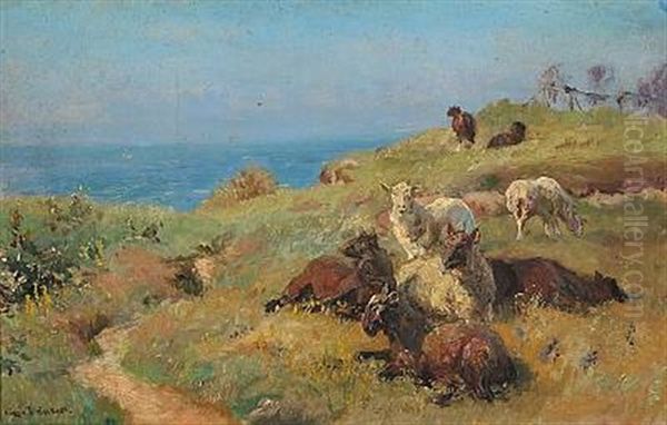 Sheeps In The Field With The Sea In The Background - view 1