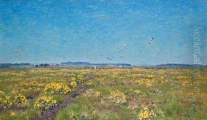 Paysage Paysage