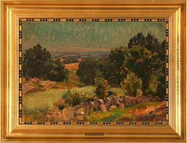 Summer Landscape From Kullen, Sweden - view 1