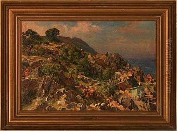 Rocky Landscape - view 1