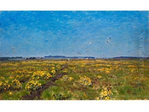 Weite Moorlandschaft Mit Gelben Dotterblumen Und Auffliegenden Vogeln by Viggo Christian Frederick Pedersen