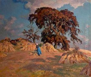 Landscape Landscape