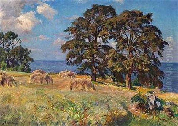 Elmegruppe - view 1