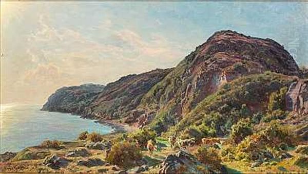 Klippekyst Med Koer I Forgrunden (kullen?) - view 1