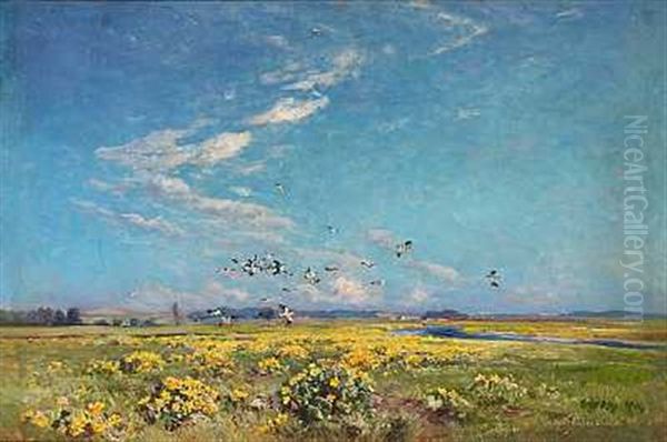 En Flok Viber Over En Eng Med Gule Blomster - view 1