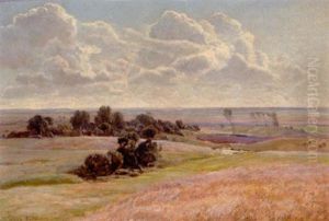 Sommermorgen Sommermorgen