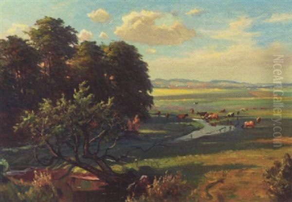 Dansk Sommerlandskab Med Koer Ved Aen - view 1