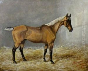 Portrait Of The Race Horse Shamrock