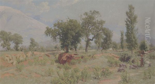Lirifloden Ved S. Domenico - view 1