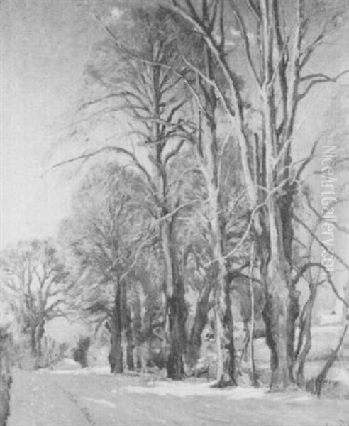 A Tree Lined Country Road In Winter - view 1