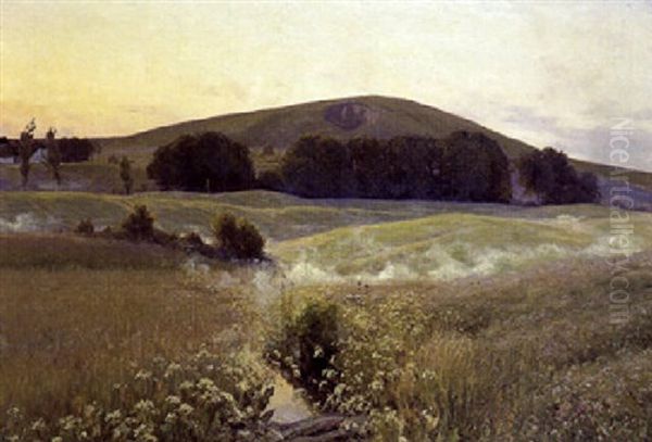 Sommeraften - view 1