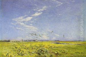 Havfugle Over Gulblomstrende Eng, Antagelig Ved Aamosen by Viggo Christian Frederick Pedersen