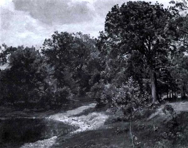 Summer Pond - view 1