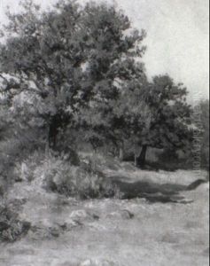 Baume Im Fr_hherbst Baume Im Fr_hherbst