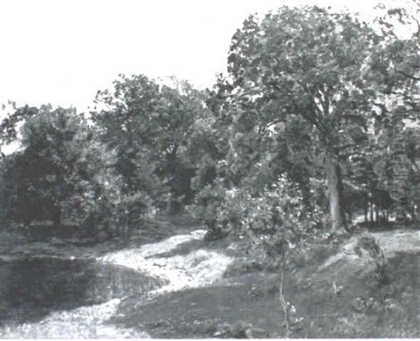 Summer Landscape - view 1
